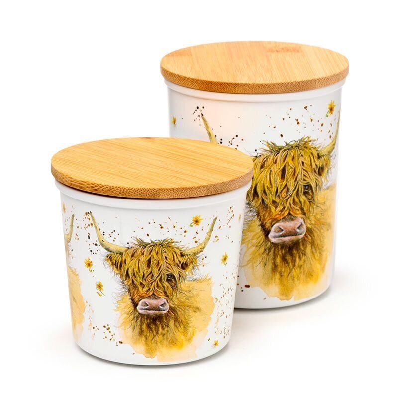 2 säilituspurki S/M – Highland Coo Cow цена и информация | Toidu säilitusnõud | kaup24.ee