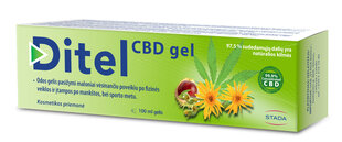 Geel Ditel CBD 100g hind ja info | Salvid, geelid | kaup24.ee