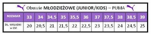 PUMA REBOUND V6 JR spordijalatsid 393833-04 madalad tossud 35.5 hind ja info | Naiste spordi- ja vabaajajalatsid | kaup24.ee