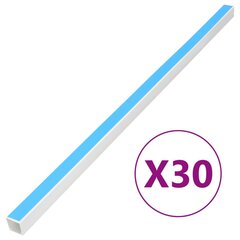 kaablikanal iseliimuv 30x15 mm 30 m PVC hind ja info | Kaablid ja juhtmed | kaup24.ee