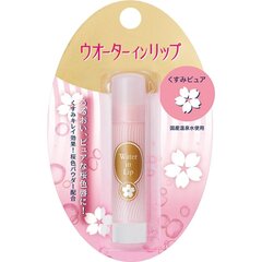 Shiseido Niisutav huulepalsam 3.5g hind ja info | Huulepulgad, -läiked, -palsamid, vaseliin | kaup24.ee