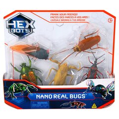 HEX interaktiivne mänguasi Nano Real Bugs 5 pakk hind ja info | Liivakastid, liiv ja mänguasjad | kaup24.ee