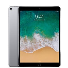 Apple iPad Pro WiFi 64GB Grey цена и информация | Планшеты | kaup24.ee