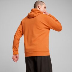 Mужская толстовка PUMA RAD/CAL Hooded Half-Zip DK 681620204067981416905 цена и информация | Мужская спортивная одежда | kaup24.ee