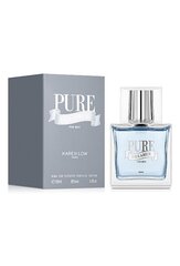 Tualettvesi Pure Dreamer EDT meestele, 100 ml hind ja info | Meeste parfüümid | kaup24.ee