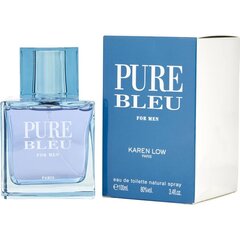 Туалетная вода Geparlys Pure Blue EDT для мужчин, 100 мл цена и информация | Мужские духи | kaup24.ee