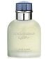 Tualettvesi Dolce&Gabbana Light Blue Pour Homme EDT meestele 75 ml цена и информация | Meeste parfüümid | kaup24.ee