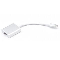 iLike HD2 USB-C Вилка в HDMI 4K Женский Аудио и Видео Кабельный Адаптер 10см - Конвертер Белый (OEM) цена и информация | Адаптеры и USB-hub | kaup24.ee