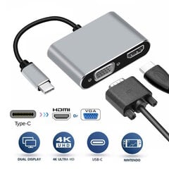 iLike HD4 2in1 Видеоадаптер - Конвертер с USB-C на Hdmi 4K 30Гц / VGA монитор Серебристый цена и информация | Адаптеры и USB-hub | kaup24.ee