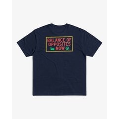 RVCA Men's Balance Now klassikaline t-särk trükiga hind ja info | Meeste T-särgid | kaup24.ee