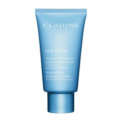 Увлажняющая маска для лица Clarins SOS Hydra 75 мл цена и информация | Маски для лица, патчи для глаз | kaup24.ee