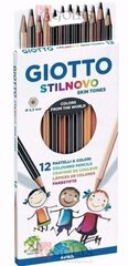 Värvilised pliiatsid Giotto Stilnovo (Renoveeritud B) hind ja info | Kunstitarbed, voolimise tarvikud | kaup24.ee