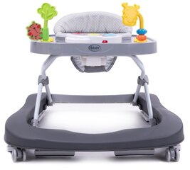 Käimistool 4Baby Walk'n Push dark grey hind ja info | Käimistoed | kaup24.ee