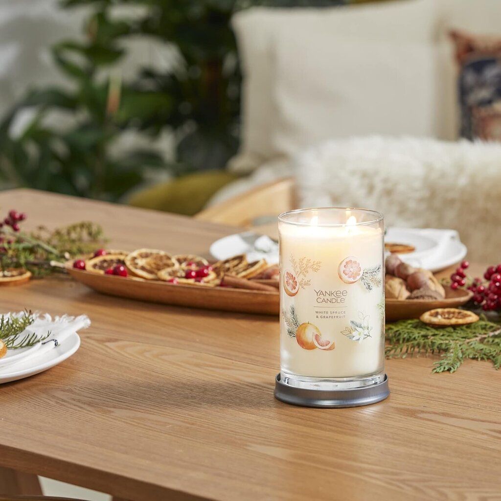 Yankee Candle tumbler 2 tahtega WHITE SPRUCE &amp; GRAPEFRUIT цена и информация | Küünlad, küünlajalad | kaup24.ee