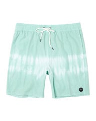 RVCA Manic beach meeste ujumispüksid цена и информация | Плавки, плавательные шорты | kaup24.ee