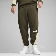 Штаны PUMA ESS+ Block Sweatpants FL 849037704067981018062 цена и информация | Мужская спортивная одежда | kaup24.ee