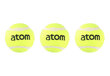 Välitennise pallid Atom Sports, 3 tk hind ja info | Välitennise tooted | kaup24.ee
