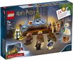 75964 LEGO® Harry Potter Advendikalender цена и информация | Klotsid ja konstruktorid | kaup24.ee