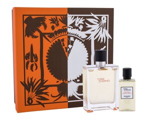 Komplekt Terre D'Hermes by Hermes meestele: Terre D'Hermes EDT 100ml + Terre D'Hermes dušigeel 80ml цена и информация | Мужские духи | kaup24.ee