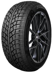 ANTARES LUMI 001 205/55R16 91H цена и информация | Зимняя резина | kaup24.ee