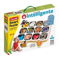 Magnetplaat Loomad Quercetti, 0230 hind ja info | Imikute mänguasjad | kaup24.ee