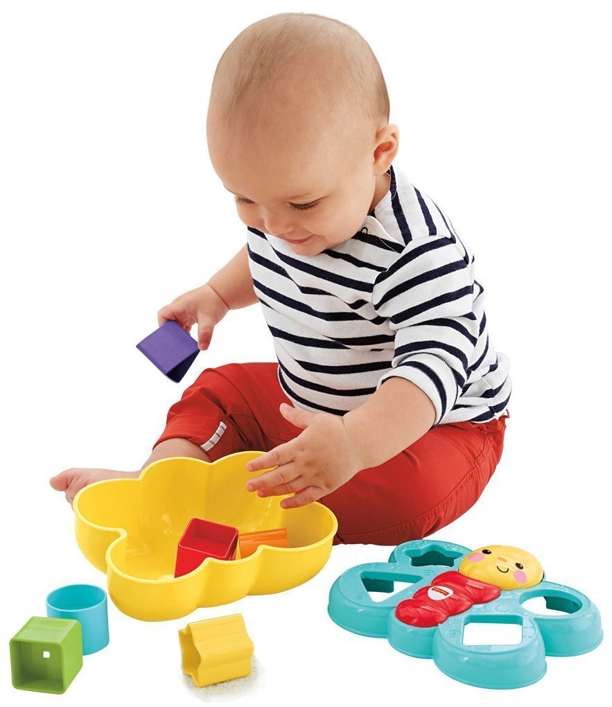 Vorm sorteerija – liblikas Fisher Price, CDC22 hind ja info | Imikute mänguasjad | kaup24.ee