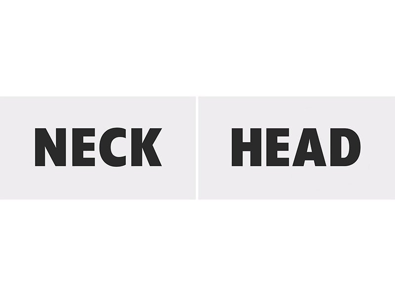 Aksessuaar fotosessioonile Head & Neck (1 karp/ 40 pakki) (1 pakk/ 2 tk) hind ja info | Peokaunistused | kaup24.ee