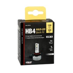 Halo Led HB4 15W P22d 1 tk hind ja info | Autopirnid | kaup24.ee