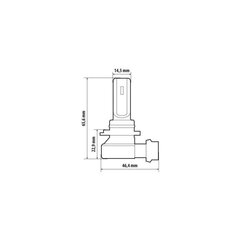 Halo Led HB4 15 Вт P22d 1 шт. цена и информация | Автомобильные лампочки | kaup24.ee