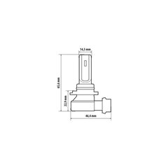 Halo Led HB3 15 Вт P20d 1 шт. цена и информация | Автомобильные лампочки | kaup24.ee