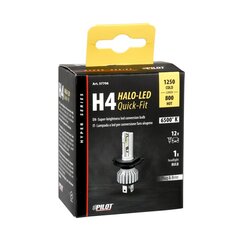 Halo Led H4 15W P43t 1 tk hind ja info | Autopirnid | kaup24.ee