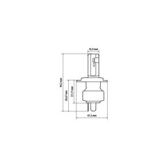 Halo Led H4 15W P43t 1 tk hind ja info | Autopirnid | kaup24.ee