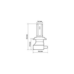 Halo Led H7 15W PX26d 1 tk hind ja info | Autopirnid | kaup24.ee