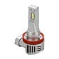 Halo Led H11 36W PGJ19-2 1 tk hind ja info | Autopirnid | kaup24.ee