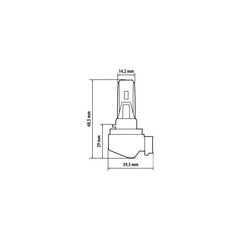 Halo Led H11 36Вт PGJ19-2 1 шт. цена и информация | Автомобильные лампочки | kaup24.ee