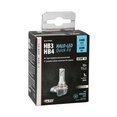 Halo Led HB3-HB4 36 Вт P20d/P22d 1 шт. цена и информация | Автомобильные лампочки | kaup24.ee