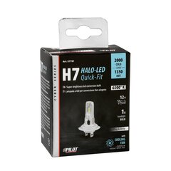 Halo Led H7 22Вт PX26d 1 шт. цена и информация | Автомобильные лампочки | kaup24.ee