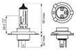 Bosch ECO H4 12V 60/55W Plus 100 цена и информация | Autopirnid | kaup24.ee