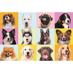 puzzle trefl puppies, 60 tk. hind ja info | Pusled | kaup24.ee