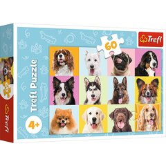 puzzle trefl puppies, 60 tk. hind ja info | Pusled | kaup24.ee