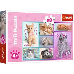 trefl kittens puzzle, 60 tk. hind ja info | Pusled | kaup24.ee