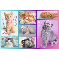 trefl kittens puzzle, 60 tk. hind ja info | Pusled | kaup24.ee