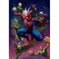 Osa number 39768 Kaubamärgi Marvel Super Heroes Brändi Spiderman Tüüp Standard Elementide arv 1000 Pildi suurus 70 x 50 cm Minimaalne vanus 10 aastat Stuff Papp Sugu Poisid Sugu Tüdrukud цена и информация | Pusled | kaup24.ee