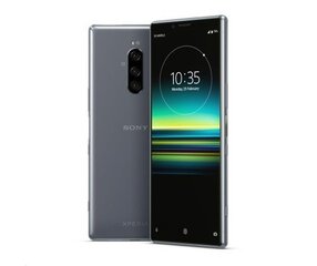 Sony Xperia 1 (J9110), 128Гб, Dual SIM, Gray цена и информация | Sony Телефоны и аксессуары | kaup24.ee