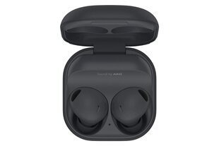 Samsung Galaxy Buds 2 Graphite цена и информация | Наушники | kaup24.ee