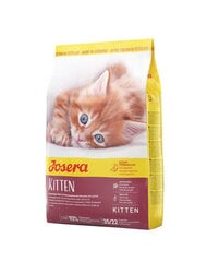 Kuivtoit kassipoegadele Josera Kitten, 10 kg hind ja info | Josera Lemmikloomatarbed | kaup24.ee