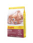 Kuivtoit kassipoegadele Josera Kitten, 10 kg цена и информация | Kuivtoit kassidele | kaup24.ee