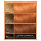 Geel juuksevärv L'Oreal Colorista, #Copper hind ja info | Juuksevärvid | kaup24.ee