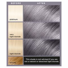 Geel juuksevärv L'Oreal Colorista, #SmokeyGrey цена и информация | Краска для волос | kaup24.ee