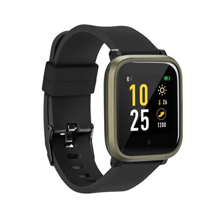 Acme SW102 Khaki цена и информация | Nutikellad (smartwatch) | kaup24.ee